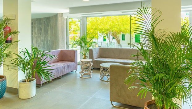 Hyde Park Lane - Foto 4, Reception