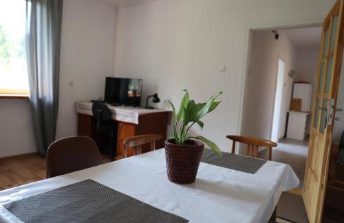 Agroturystyka u Babci - Photo 33