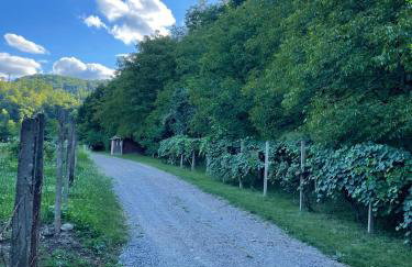 Escape to Nature - Dolac Franić - Foto 14