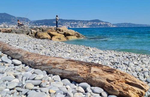 Residence Butterfly - Foto 45