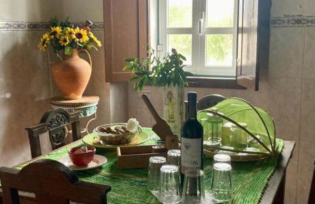 Linhal das Meias - São José das Matas - Foto 45