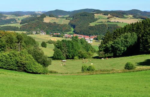 Moderne Ferienwohnung mit Garten in Eimelrod - Foto 38