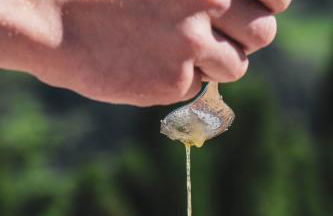 Hotel Residence Gasser - Foto 56