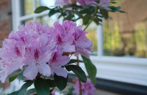 Apartment at the Eichenpark - Foto 13