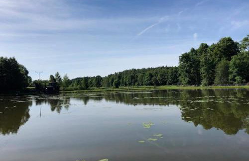 Dom w lesie przy stawach - Foto 54