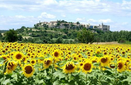 Villa charmante à Lussan avec piscine privée et jardin closa - Photo 45