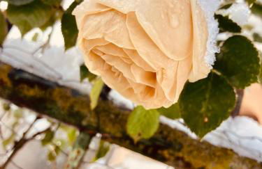 Charmante maison au coeur d'un village auvergnat - Foto 38