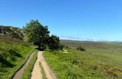 Hedgehog Cottage with garden in Bronte village! - Foto 27