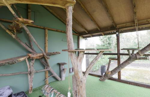 Orchard House Cottage - Foto 25