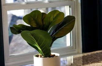 CRAFTSMAN UPSTAIRS with impressive attic! - Foto 63