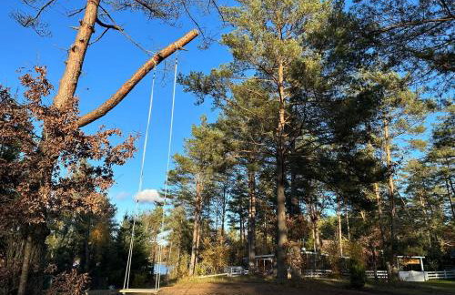 Sosnowy Azyl - Foto 67