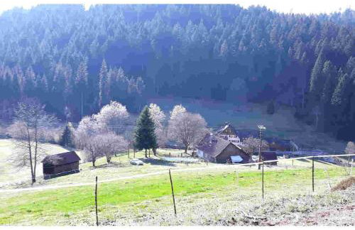 Ferienhaus Schwarzwald Seewald Erzgrube Badesee 100% Natur - Foto 1
