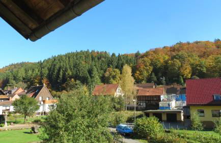 FeWo direkt am Wald und Wanderweg mit Balkon Ruhe pur 1 OG - Foto 10