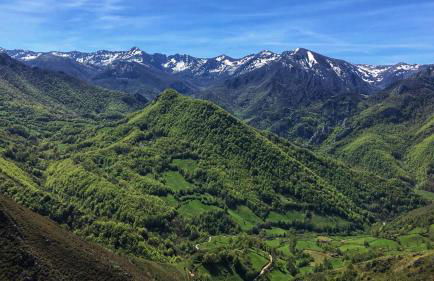 La Berrea Cabañaquinta - Foto 21