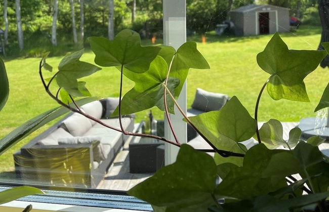 5 Person Holiday Home in Klovedal-by Traum - Foto 25