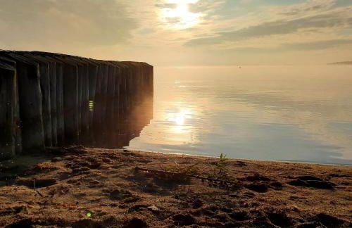Ferienwohnung Goitzschezeit - Foto 26