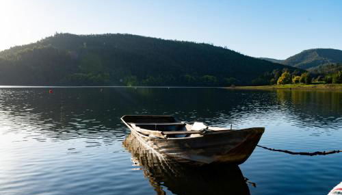 Canto do Zêzere, Sertã, Dornes, Castelo do Bode - Foto 3