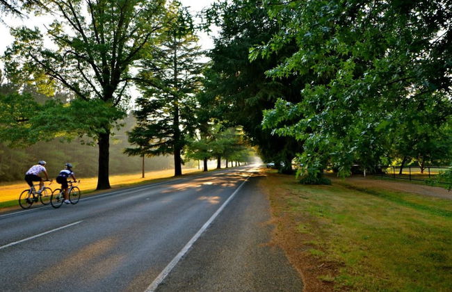 Chestnut Tree Holiday Apartments - Foto 21