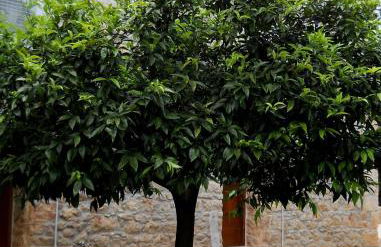 Agriturismo Casale Ré - Foto 19