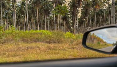 Recanto Lucena - Casa inteira com churrasqueira - Foto 4