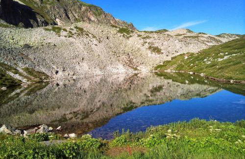 L Édelweiss et sa piscine - Foto 47