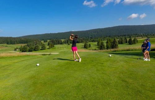 LE CHALET des 3 Sapins, Superbe Duplex Montagnard avec balcon, au calme - Les Rousses, Draps inclus & Parking gratuit - Foto 44