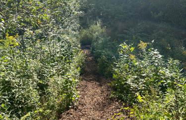 Maison Flambeau - Foto 52