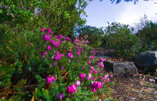 Ferienhaus Schils Zur alten Heidegärtnerei - Keine Monteure! - Foto 17