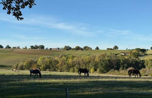 Charming little house in Condom - Foto 2