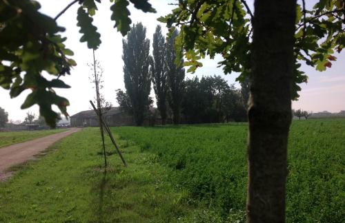 Corte Motte - Photo 39