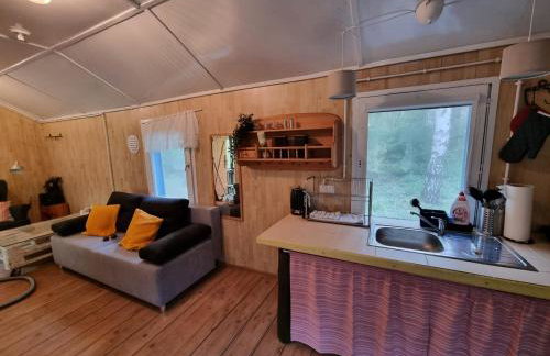 Dom Pod Brzozami Lipinki Bory Tucholskie basen - psy, koty mile widziane! - Photo 24