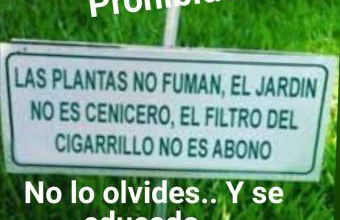 Somonte Costa - Foto 44