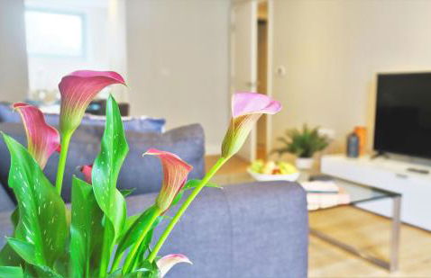 Accomodo London Southbank - Spacious & Elegant Apartments near Big Ben & London Eye - Foto 8