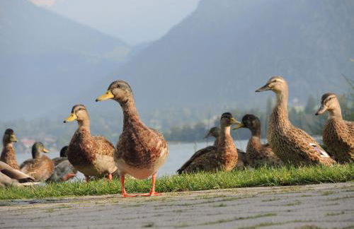 Ferienappartment Marianne - Foto 16