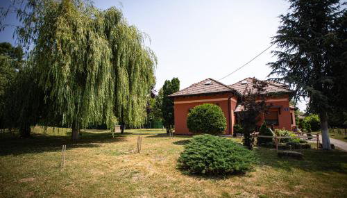 Kuća za odmor Raguž - Foto 5, Garden, Garden view