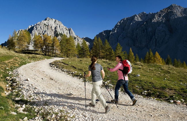 Cushy Apartment in Bad Kleinkirchheim near Ski Area - Photo 42