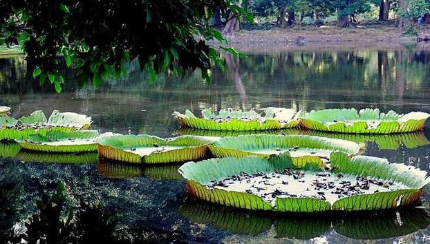 Bangalore City Tour - Tour Privado de Meio Dia - Foto 3