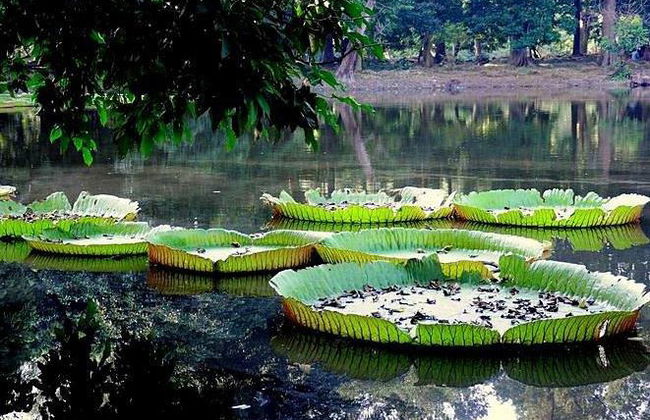 Bangalore City Tour - Tour Privado de Meio Dia - Foto 3