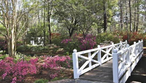 Green Whale - Foto 5