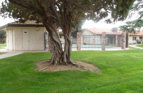 The Royal Oak Splash Sequoia Nat'l Park Lake Mts - Foto 2