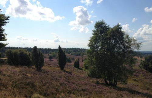 Ferienwohnungen Heideidylle - Foto 19