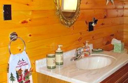 Secluded Cabin Nestled in the Mountains near the Tioga State Forest, Pennsylvania - Foto 2