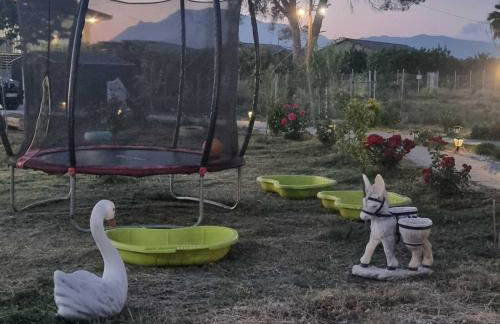 Agroktima Arta - Farm Stay - Foto 55