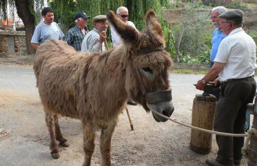 Apartamento Do Silva - Foto 34