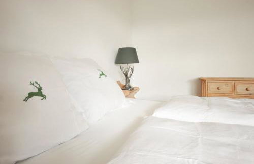 Guade Stub'n ALBERT-SEPPI - Foto 9