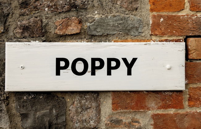 Webbington Farm Holiday Cottages - Foto 18