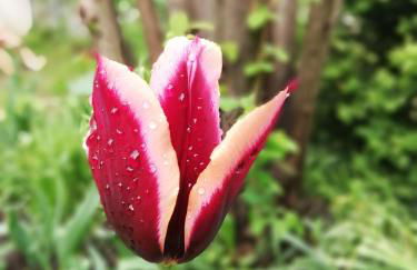 Ferienwohnung "OTTO" - Foto 15