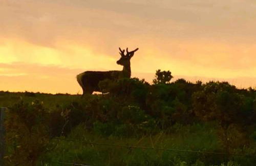 The Byre, Glasphein-Panoramic sea and glen views - Foto 30