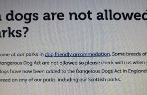 Beautiful Caravan Phoenix - Foto 25