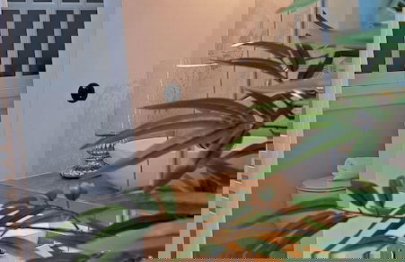 VERANI SUITES - Foto 18